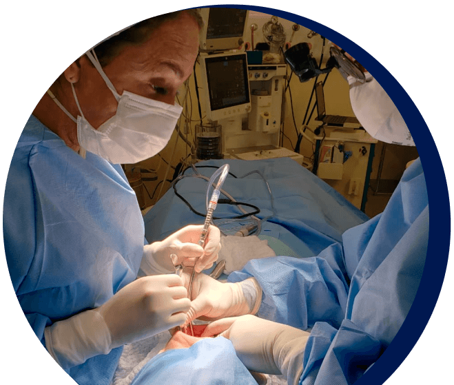 Cirurgias de implante, ortognáticas e maxilo-faciais